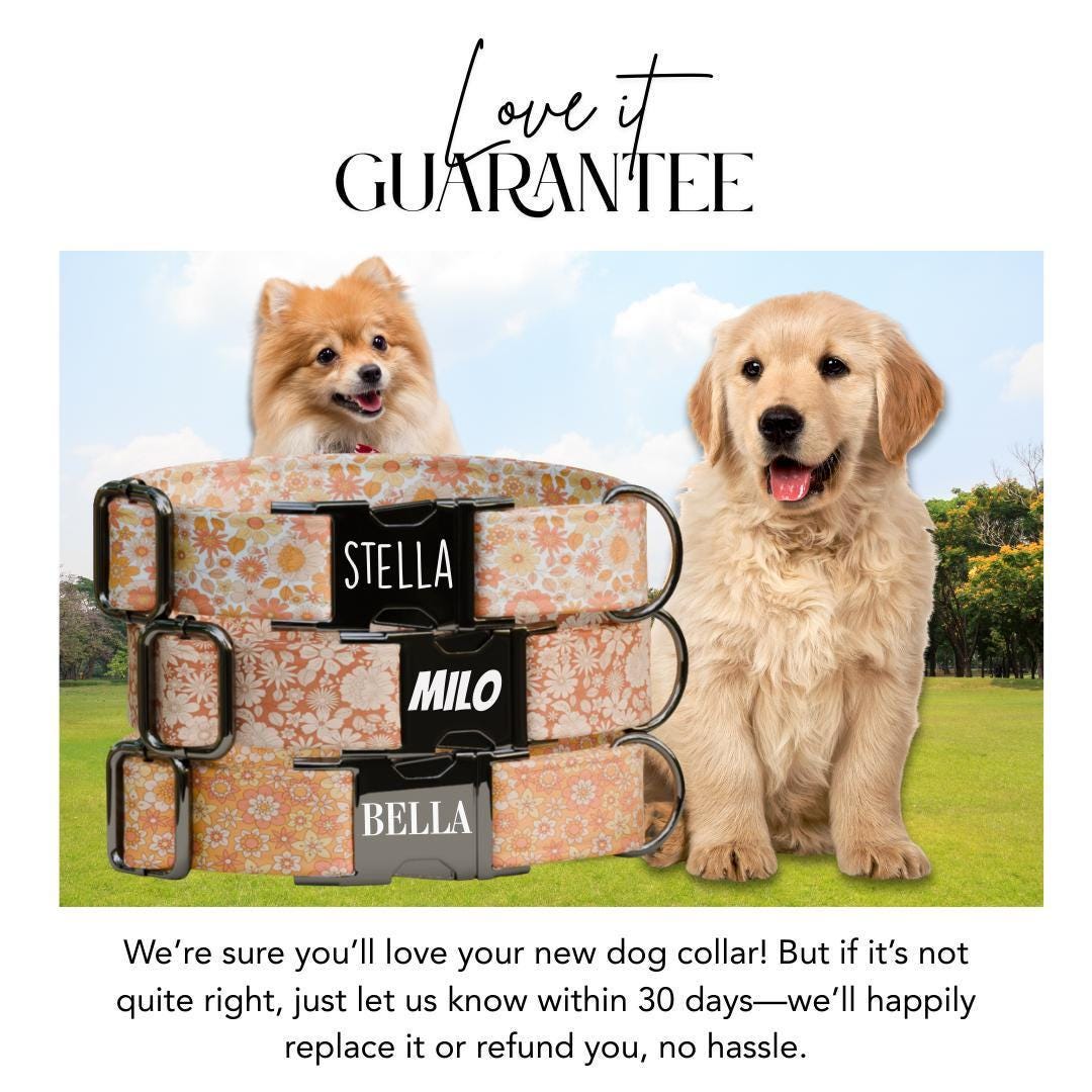 Personalized Orange Floral Dog Collar with Name Engraved Cute and Soft Adjustable Collar & Leash Set, Black or Gold Buckle, Dog Gift (OG-08)