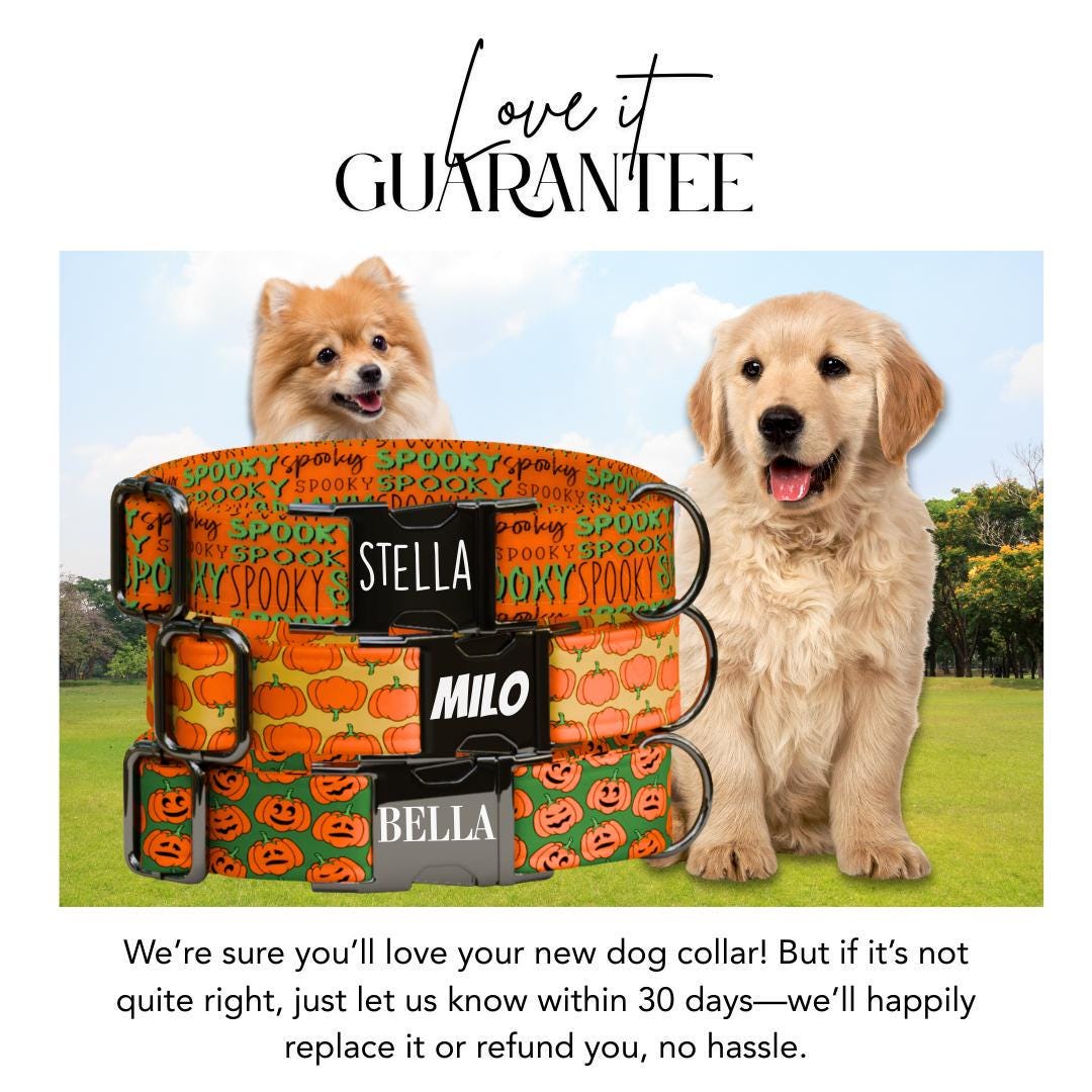 Personalized Halloween Dog Collar with Name Engraved Cute and Soft Fall Adjustable Collar & Leash Set Black or Gold Buckle Dog Gift (OG-144)