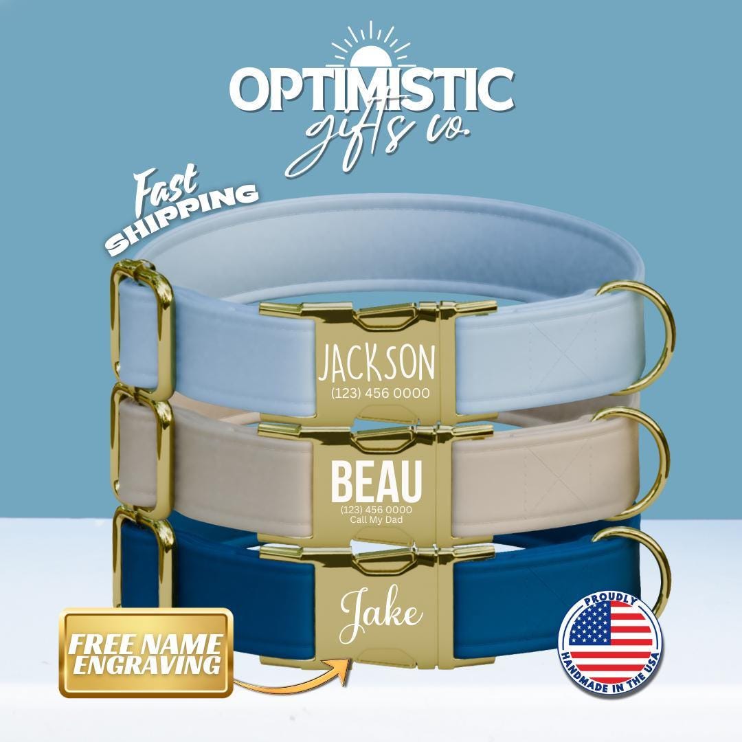 Personalized Multiple Luxe Velvet Dog Collar with Name Engraved Cute and Soft Adjustable Collar & Leash Set Wedding Dog Tag Gift (OG-47)