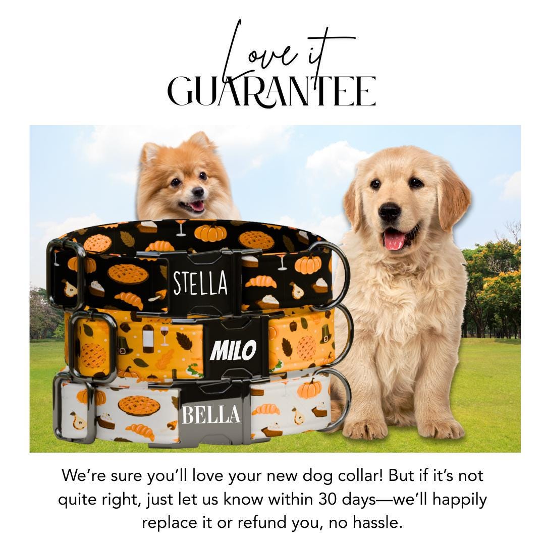 Personalized Festive Fall Dog Collar with Name Engraved Cute and Soft Adjustable Collar & Leash Set, Black or Gold Buckle Dog Gift (OG-131)