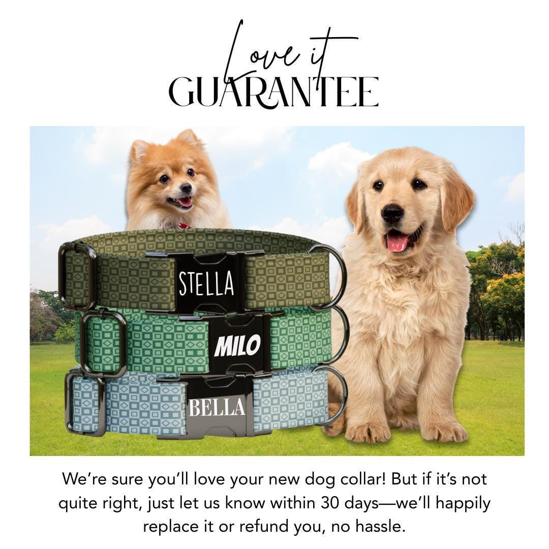 Personalized Modern Geometric Dog Collar with Name Engraved, Cute and Soft Adjustable Collar & Leash Set, Black Gold Buckle Dog Gift (OG-11)