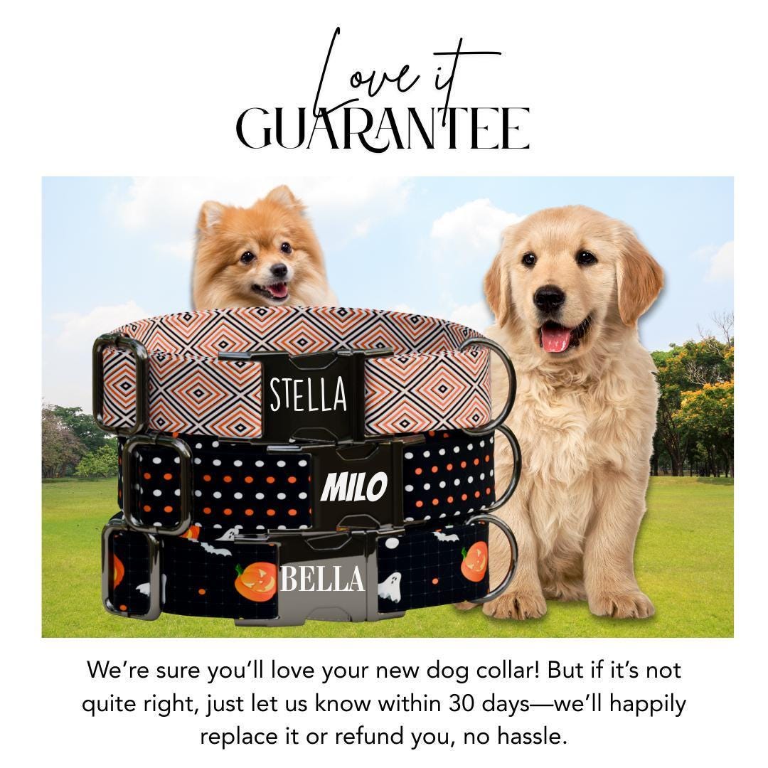 Personalized Spooky Pup Halloween Dog Collar with Name Engraved Cute and Soft Adjustable Collar & Leash Set, Pet ID Tag Dog Gift (OG-141)