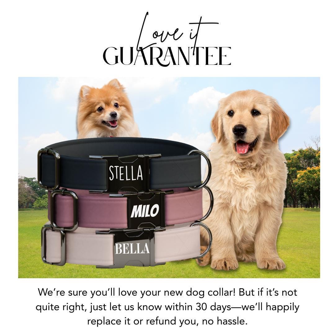 Personalized Modern Solid Dog Collar with Name Engraved Cute and Soft Adjustable Collar & Leash Set, Black or Gold Buckle, Dog Gift (OG-107)