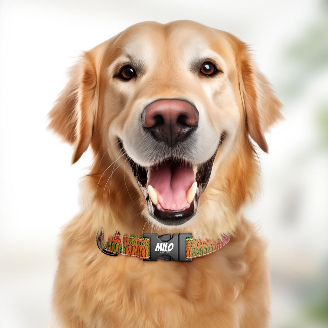 Personalized Halloween Dog Collar with Name Engraved Cute and Soft Fall Adjustable Collar & Leash Set Black or Gold Buckle Dog Gift (OG-144)
