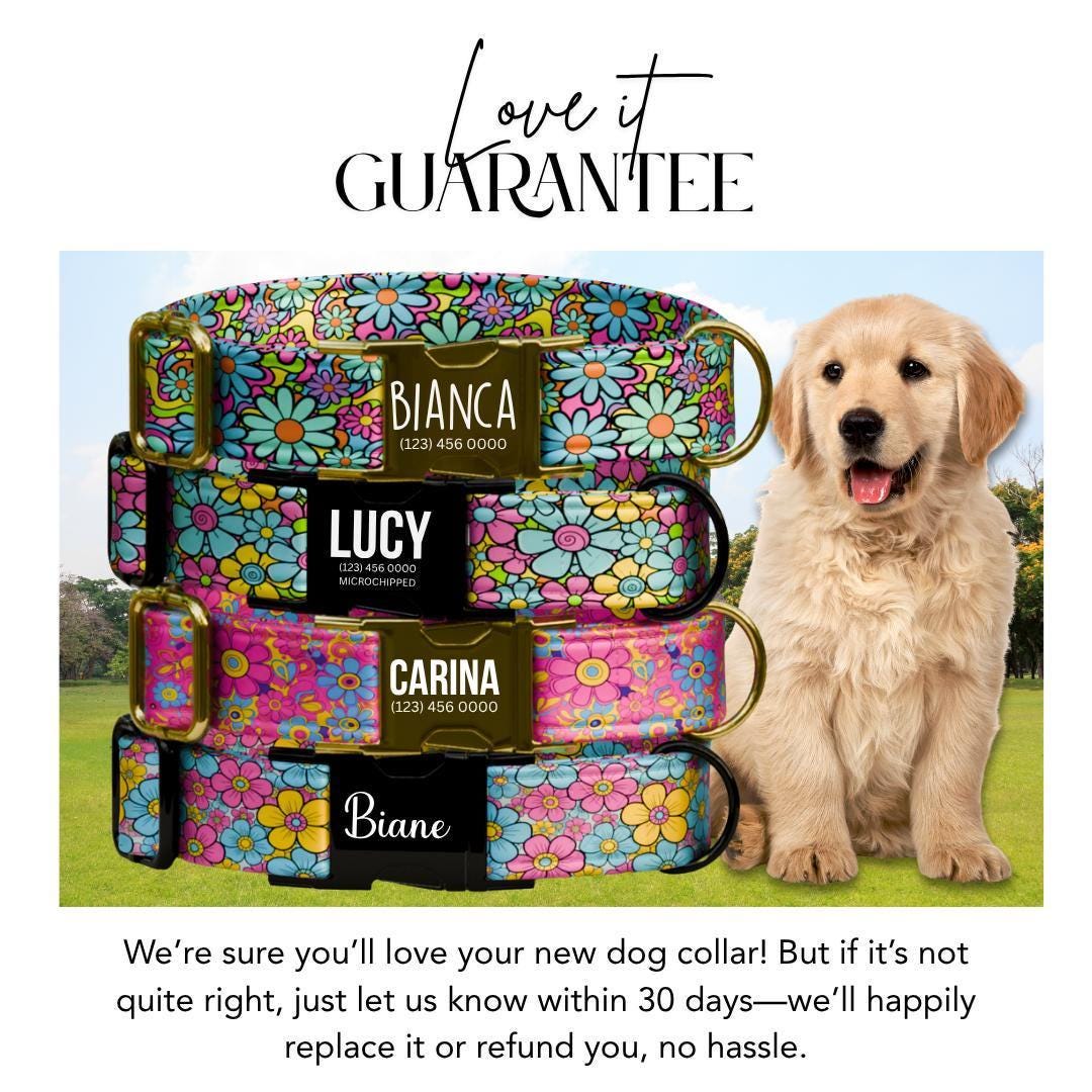 Personalized Retro Bloom Dog Collar for Girls with Name Engraved Colorful Flower Name ID Adjustable Collar & Leash Set Gift for Dog (OG-257)