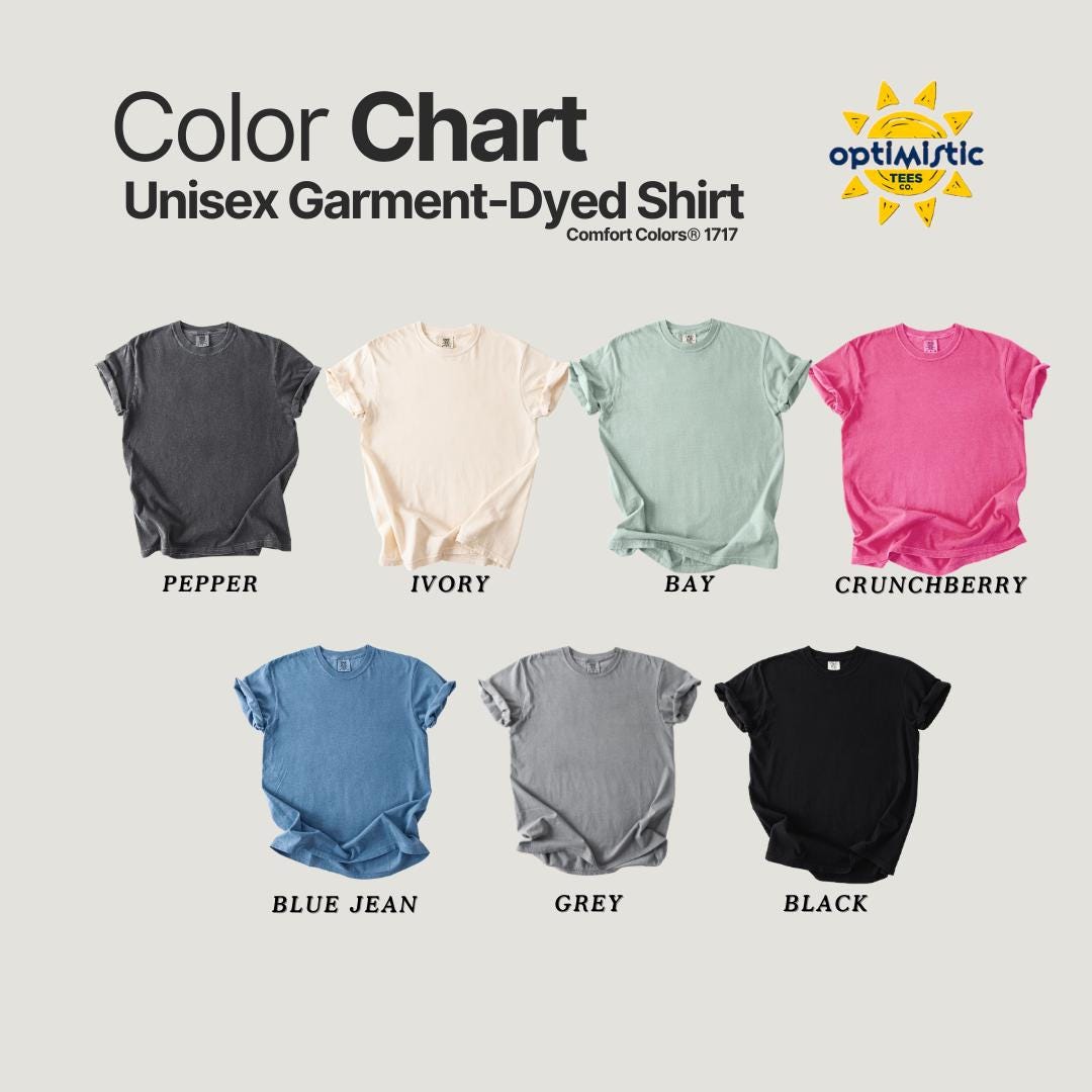 Inspirational Teach T-Shirt for Educators, Comfort Colors, Classroom Gift, Teacher Appreciation Day, Holiday, Casual Wear, Teacher Tee