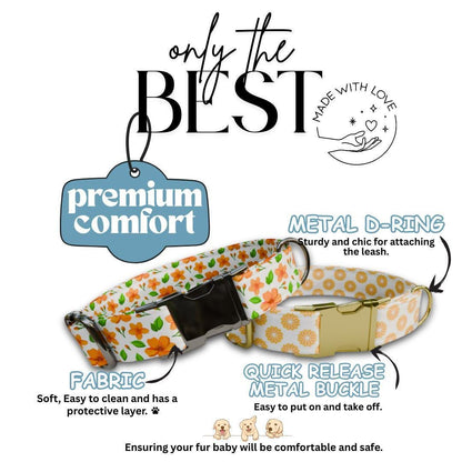 Personalized Orange Floral Dog Collar with Name Engraved Cute and Soft Adjustable Collar & Leash Set, Black or Gold Buckle Dog Gift (OG-109)