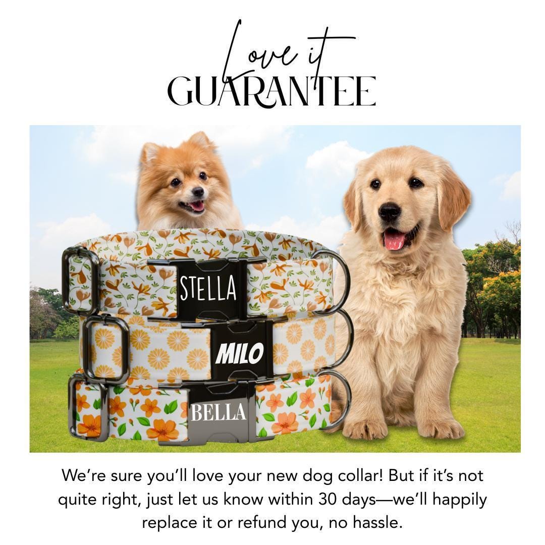 Personalized Orange Floral Dog Collar with Name Engraved Cute and Soft Adjustable Collar & Leash Set, Black or Gold Buckle Dog Gift (OG-109)