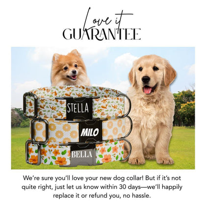 Personalized Orange Floral Dog Collar with Name Engraved Cute and Soft Adjustable Collar & Leash Set, Black or Gold Buckle Dog Gift (OG-109)