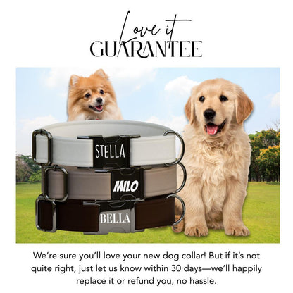 Personalized Neutral Plain Dog Collar with Name Engraved, Cute and Soft Adjustable Collar & Leash Set, Black or Gold Buckle Dog Gift (OG-46)