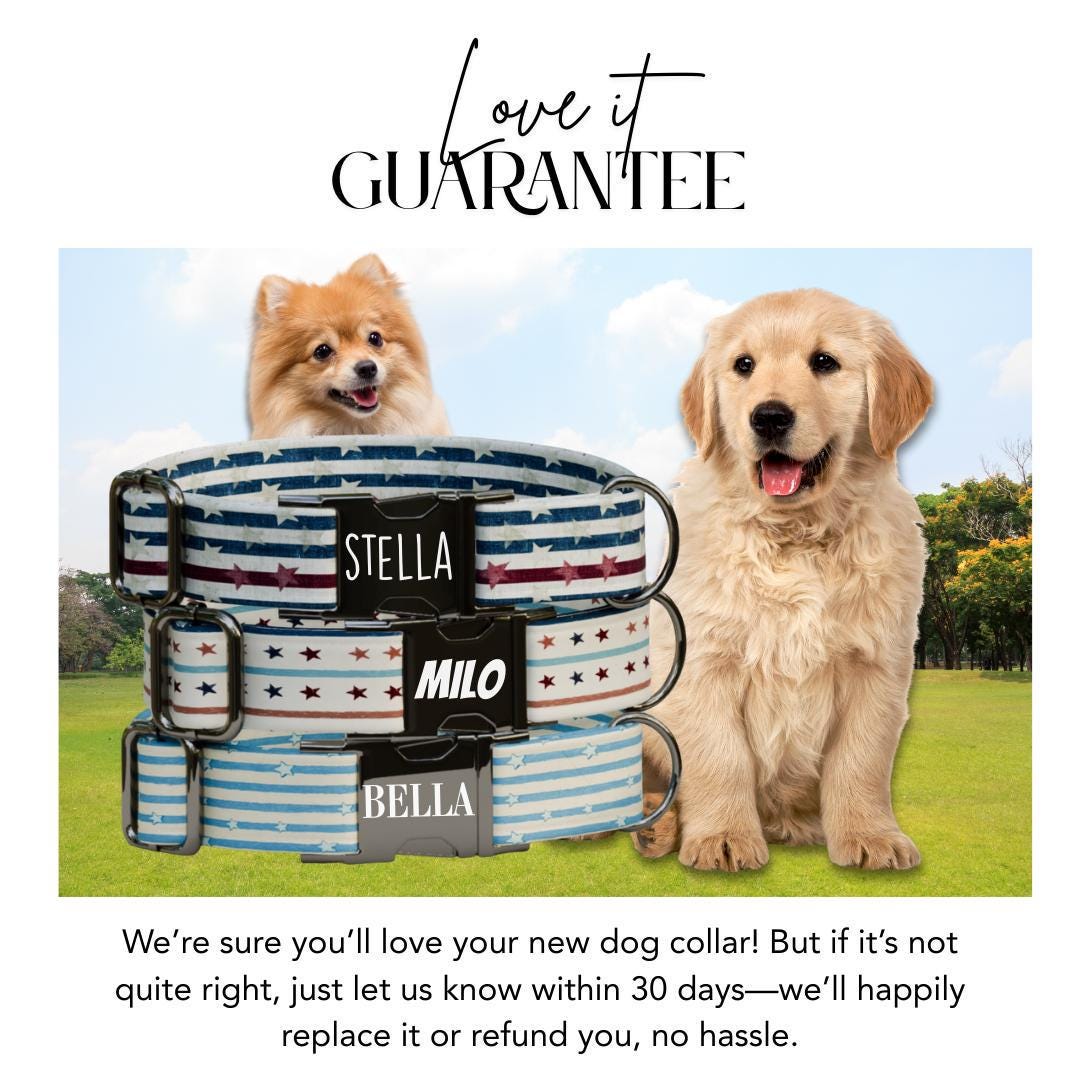 Personalized US Patriotic Dog Collar with Name Engraved Cute & Soft Adjustable Collar Leash Set Unique Star Striped Pet Dog Tag Gift (OG-81)
