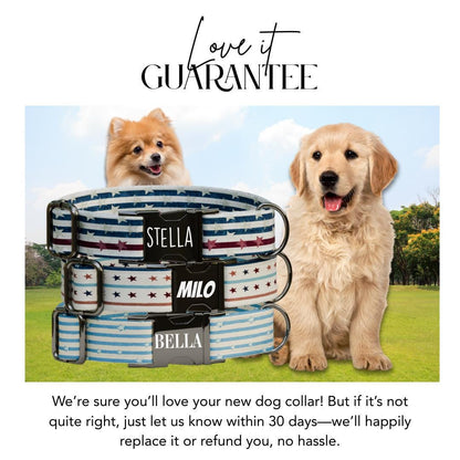 Personalized US Patriotic Dog Collar with Name Engraved Cute & Soft Adjustable Collar Leash Set Unique Star Striped Pet Dog Tag Gift (OG-81)