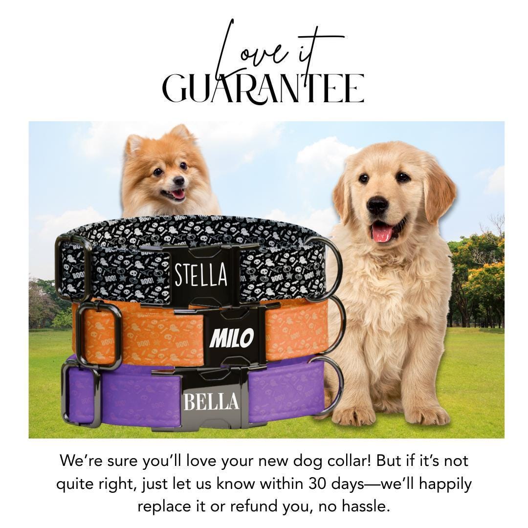 Personalized Halloween Dog Collar with Name Engraved, Cute and Soft Adjustable Fall Collar & Leash Set Black or Gold Buckle Dog Gift (OG-38)
