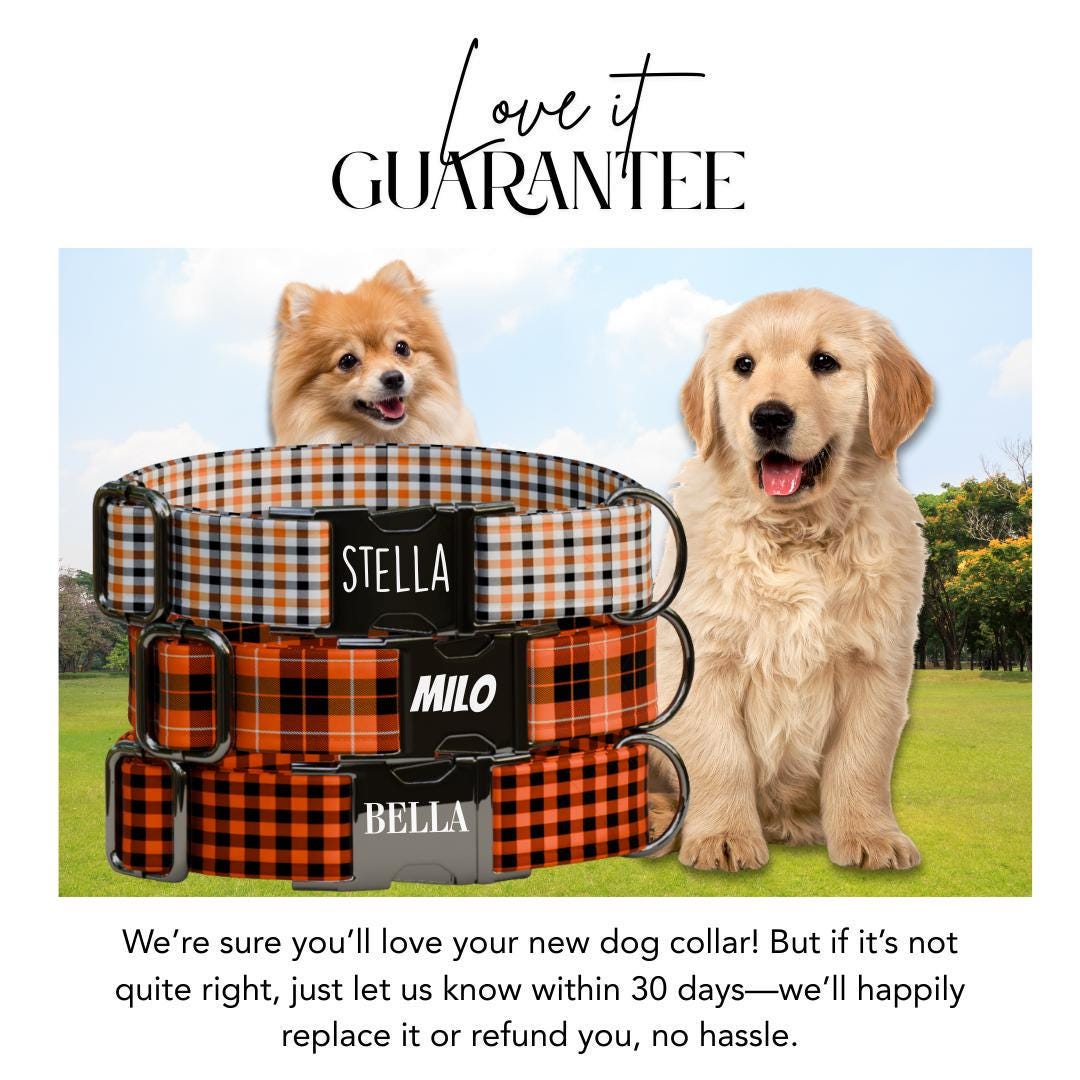 Personalized Halloween Dog Collar with Name Engraved, Cute and Soft Adjustable Fall Collar & Leash Set Black or Gold Buckle Dog Gift (OG-35)