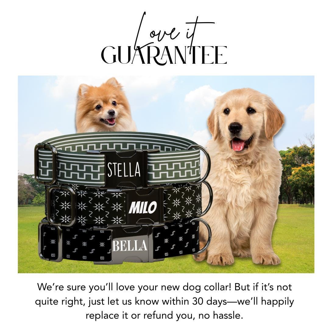 Personalized Geometric Dog Collar with Name Engraved, Cute and Soft Adjustable Collar & Leash Set, Black or Gold Buckle Dog Gift (OG-45)