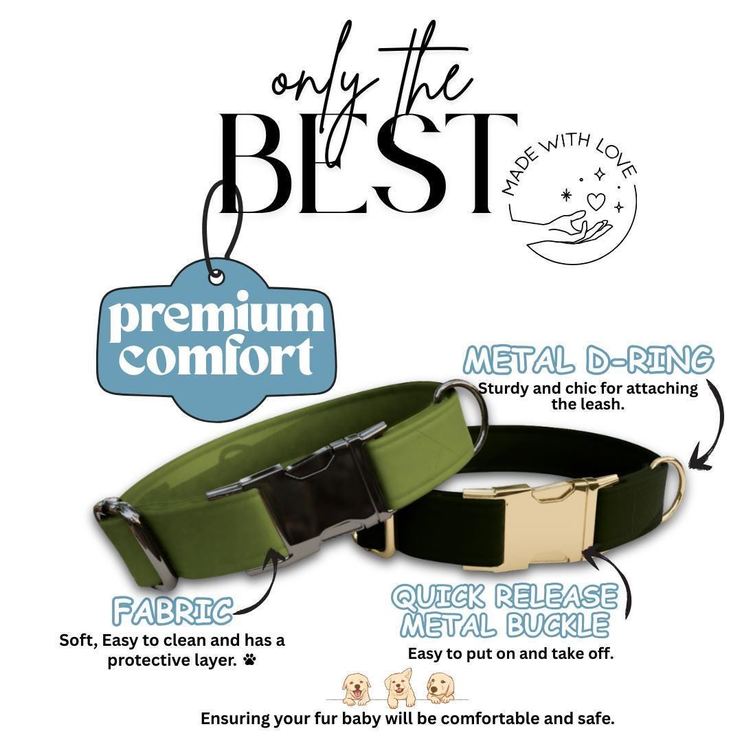 Personalized Modern Solid Dog Collar with Name Engraved Cute and Soft Adjustable Collar & Leash Set, Black or Gold Buckle, Dog Gift (OG-108)