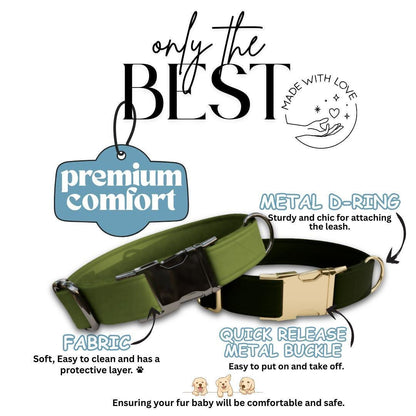 Personalized Modern Solid Dog Collar with Name Engraved Cute and Soft Adjustable Collar & Leash Set, Black or Gold Buckle, Dog Gift (OG-108)