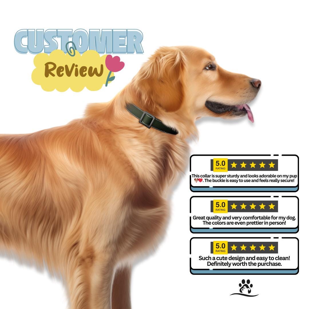 Personalized Modern Solid Dog Collar with Name Engraved Cute and Soft Adjustable Collar & Leash Set, Black or Gold Buckle, Dog Gift (OG-108)