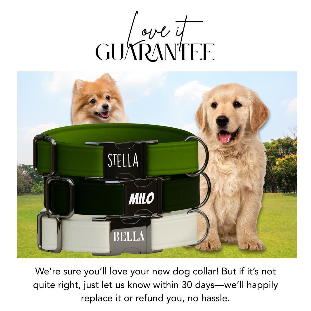 Personalized Modern Solid Dog Collar with Name Engraved Cute and Soft Adjustable Collar & Leash Set, Black or Gold Buckle, Dog Gift (OG-108)