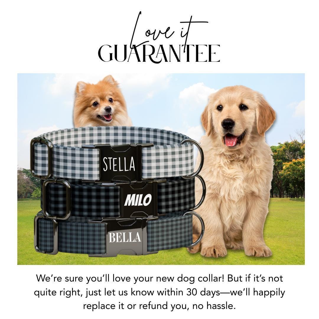 Personalized Gingham Fabric Dog Collar with Name Engraved, Cute and Soft Adjustable Collar & Leash Set Black or Gold Buckle Dog Gift (OG-54)