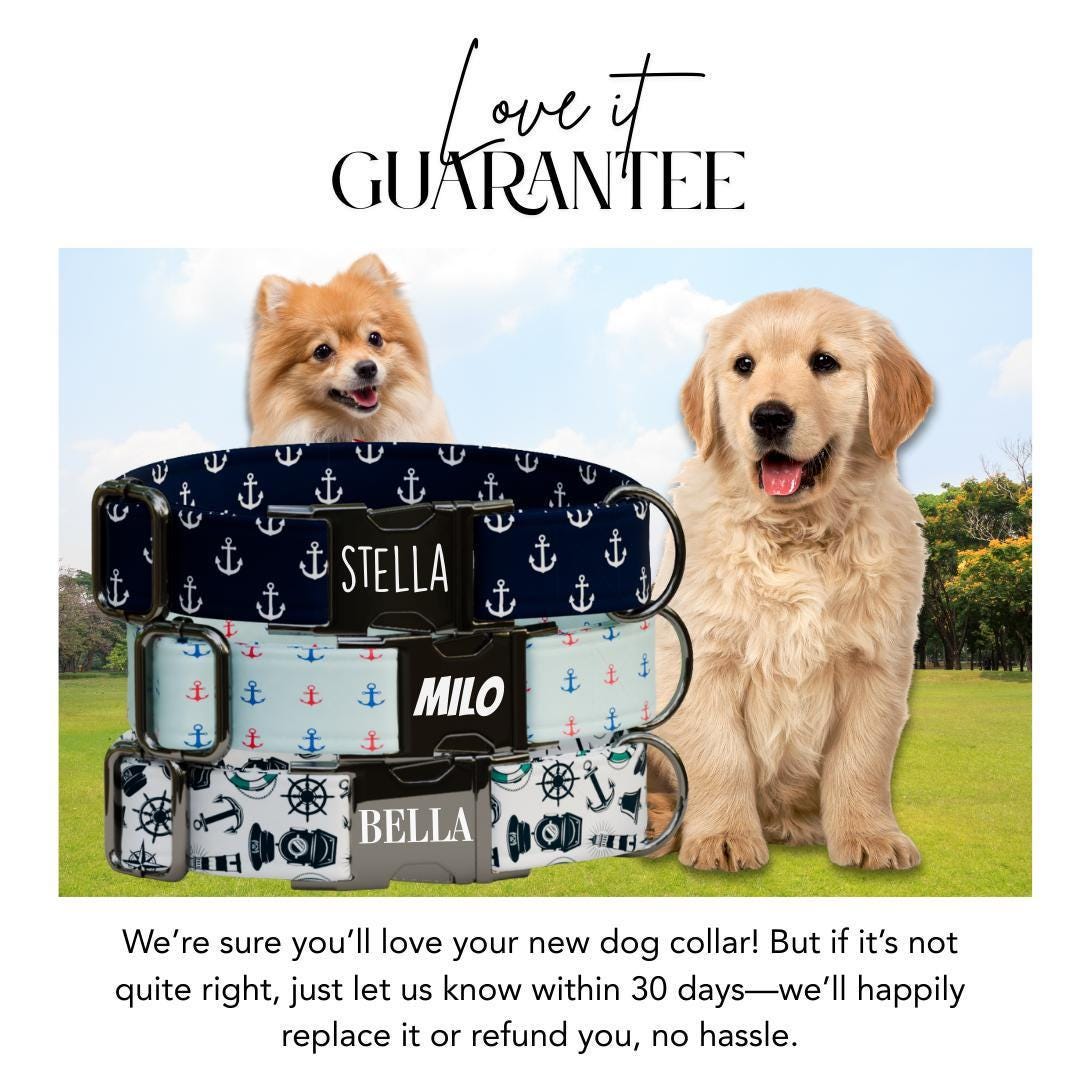 Personalized Nautical Dog Collar with Name Engraved Cute and Soft Anchor Adjustable Collar & Leash Set Black or Gold Buckle Dog Gift (OG-93)
