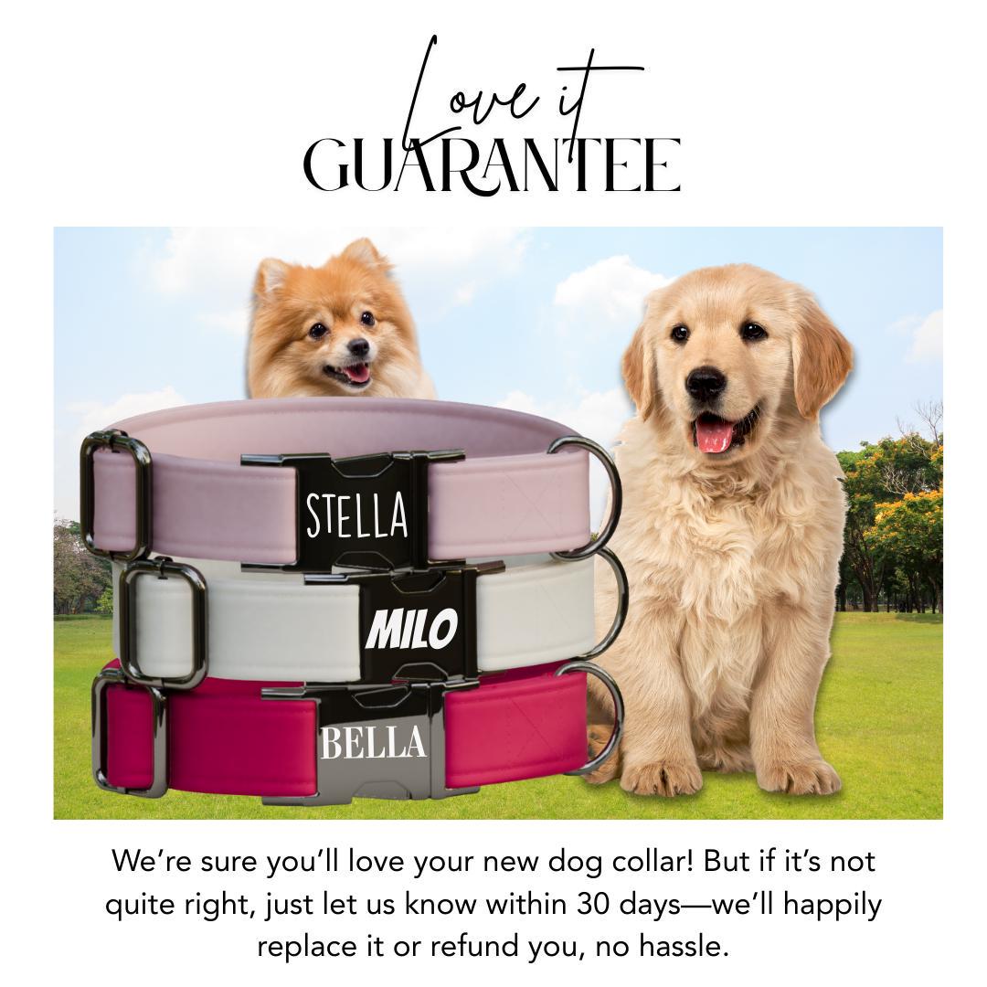 Personalized Multiple Luxe Velvet Dog Collar with Name Engraved, Cute and Soft Adjustable Collar & Leash Set, Wedding Dog Tag Gift (OG-48)