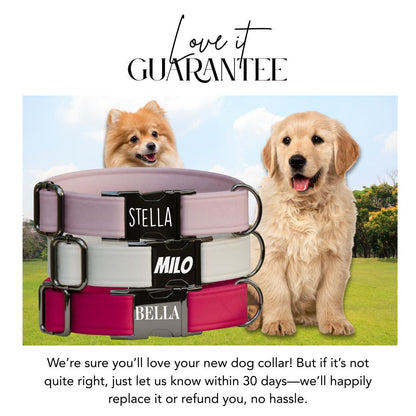 Personalized Multiple Luxe Velvet Dog Collar with Name Engraved, Cute and Soft Adjustable Collar & Leash Set, Wedding Dog Tag Gift (OG-48)