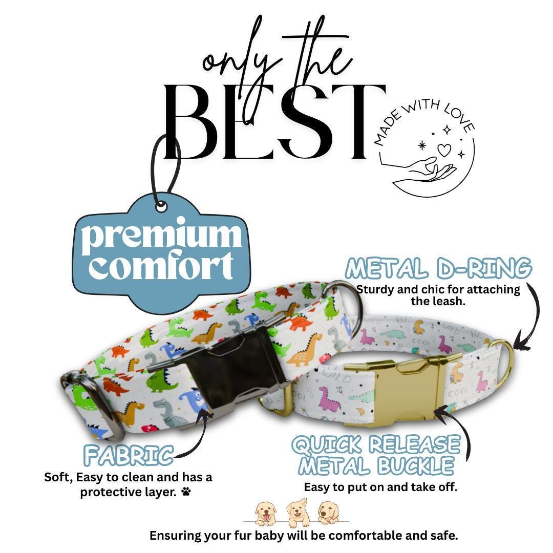 Personalized Dinosaur Dog Collar with Name Engraved Cute and Soft Dino Adjustable Collar & Leash Set Black or Gold Buckle Dog Gift (OG-98)