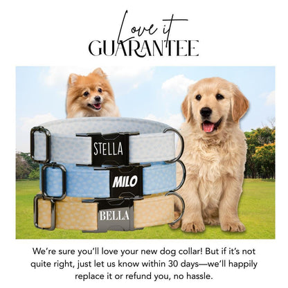 Personalized Daisy Floral Dog Collar with Name Engraved Cute & Soft Adjustable Collar Leash Set Unique Daisy Floral Pet Dog Tag Gift (OG-77)