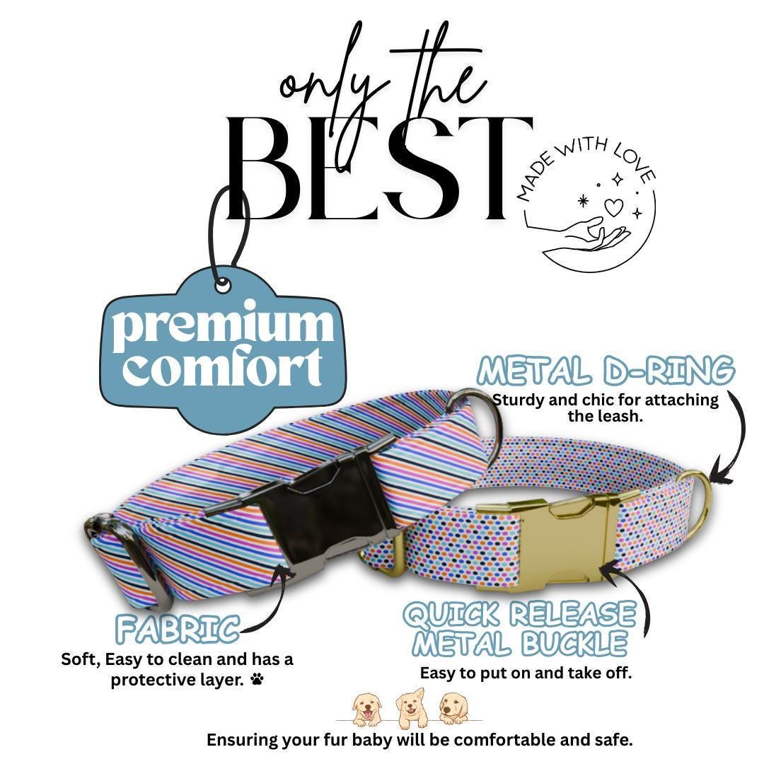 Personalized Stripes and Dots Dog Collar with Name Engraved Cute and Soft Adjustable Collar & Leash Set Black / Gold Buckle Dog Gift (OG-89)