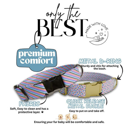 Personalized Stripes and Dots Dog Collar with Name Engraved Cute and Soft Adjustable Collar & Leash Set Black / Gold Buckle Dog Gift (OG-89)