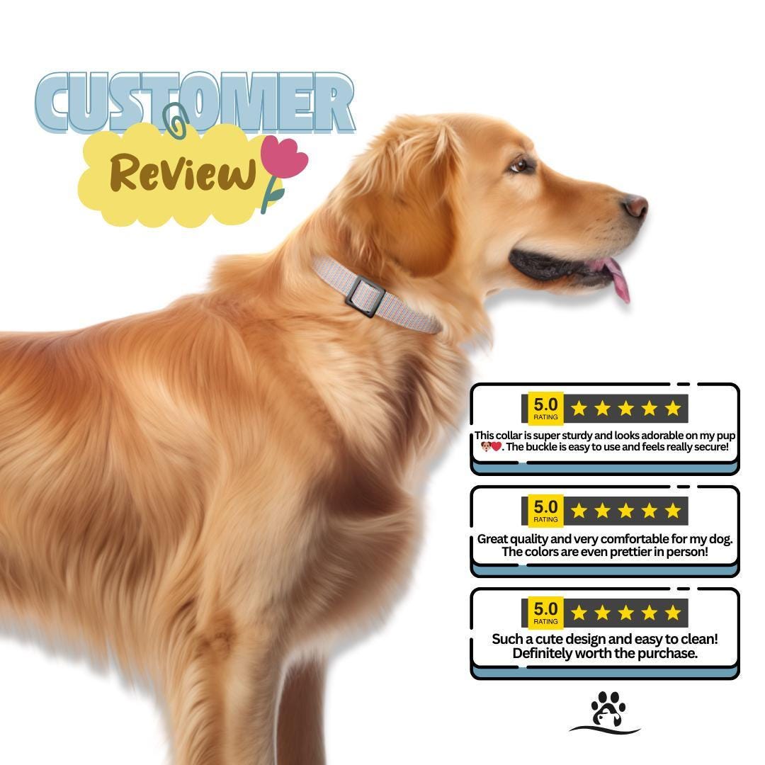 Personalized Stripes and Dots Dog Collar with Name Engraved Cute and Soft Adjustable Collar & Leash Set Black / Gold Buckle Dog Gift (OG-89)