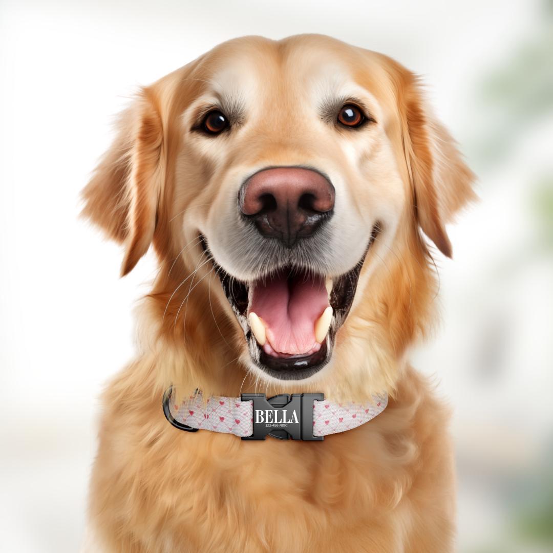 Personalized Valentine Heart Dog Collar with Name Engraved, Cute Soft Adjustable Collar & Leash, Set Black or Gold Buckle Dog Gift (OG-100)