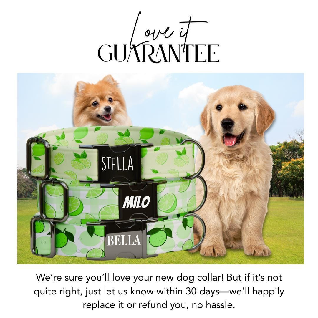 Personalized Lime Fruit Dog Collar with Name Engraved Cute & Soft Adjustable Collar Leash Set Unique Lime Fruit Print Dog Tag Gift (OG-87)