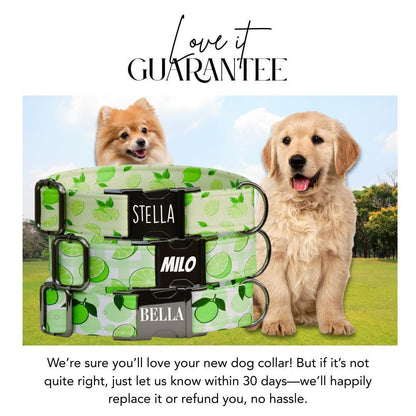 Personalized Lime Fruit Dog Collar with Name Engraved Cute & Soft Adjustable Collar Leash Set Unique Lime Fruit Print Dog Tag Gift (OG-87)