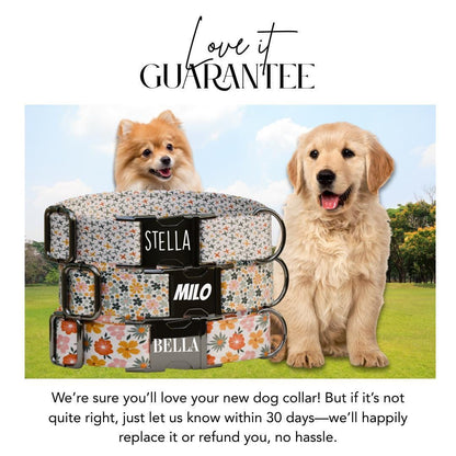 Personalized Floral Pattern Dog Collar with Name Engraved, Cute and Soft Adjustable Collar & Leash Set Black or Gold Buckle Dog Gift (OG-18)