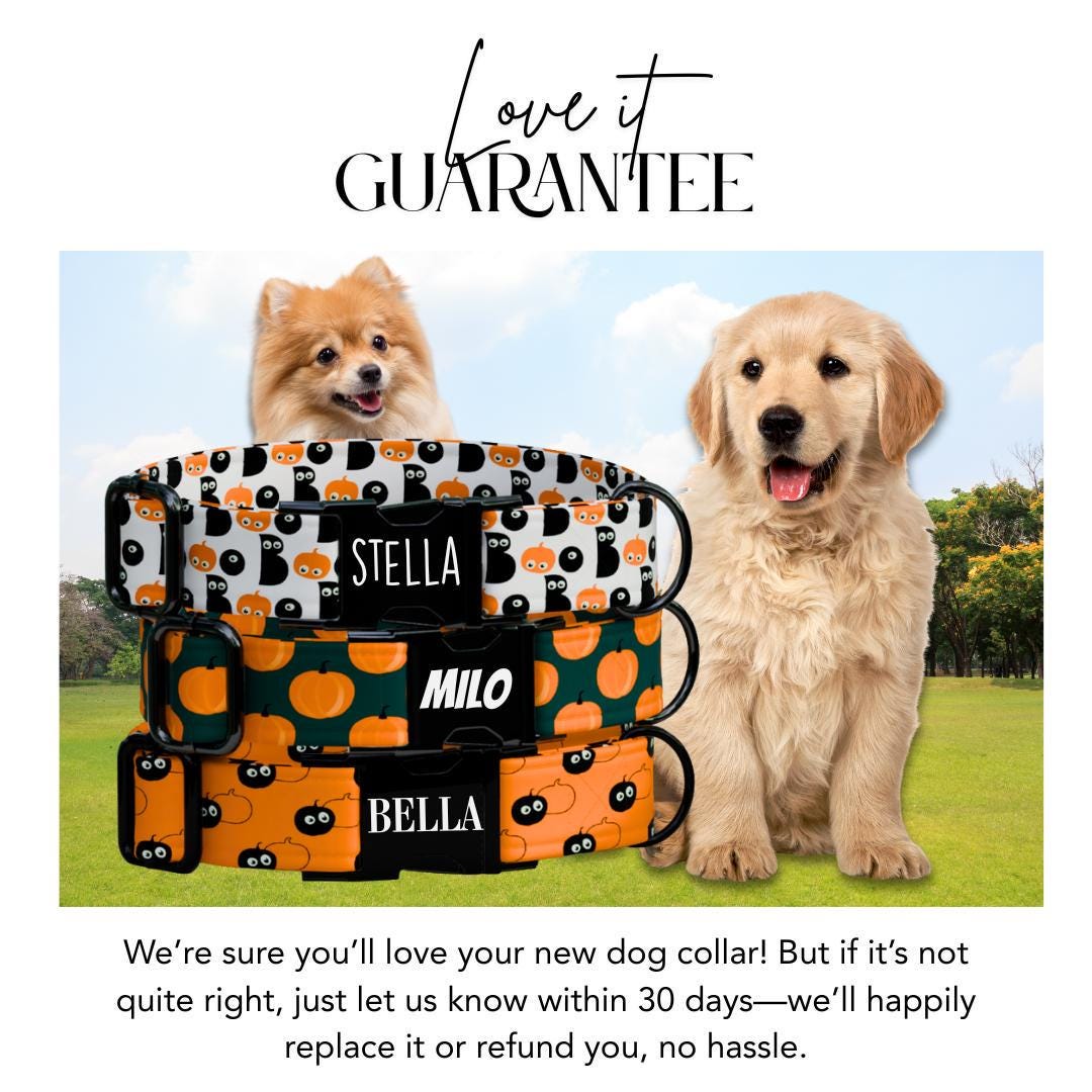 Personalized Halloween Dog Collar with Name Engraved Cute and Soft Fall Adjustable Collar & Leash Set Black or Gold Buckle Dog Gift (OG-124)