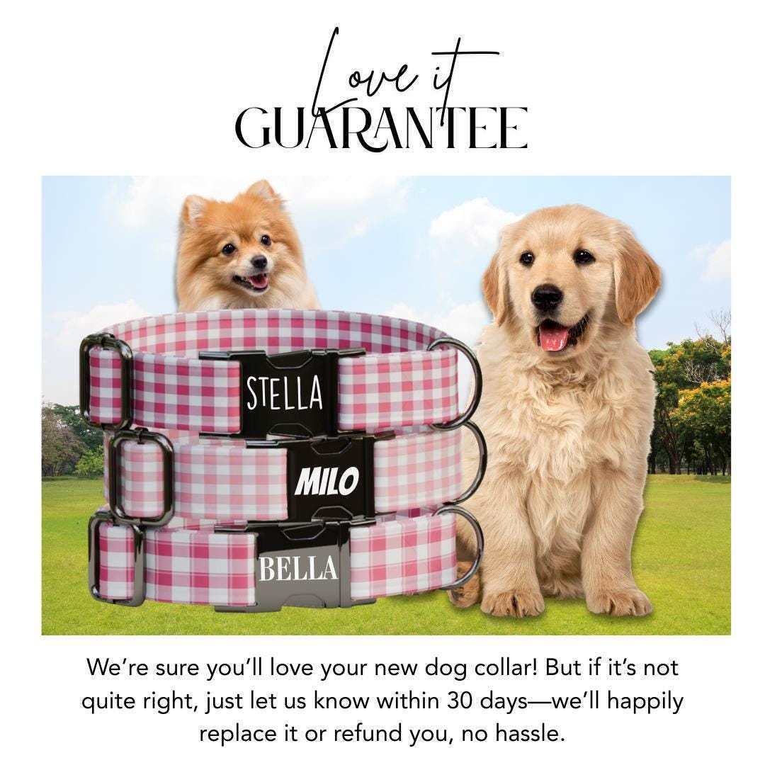 Personalized Pink Checkered Dog Collar with Name Engraved, Cute and Soft Adjustable Collar & Leash Set Black or Gold Buckle Dog Gift (OG-28)