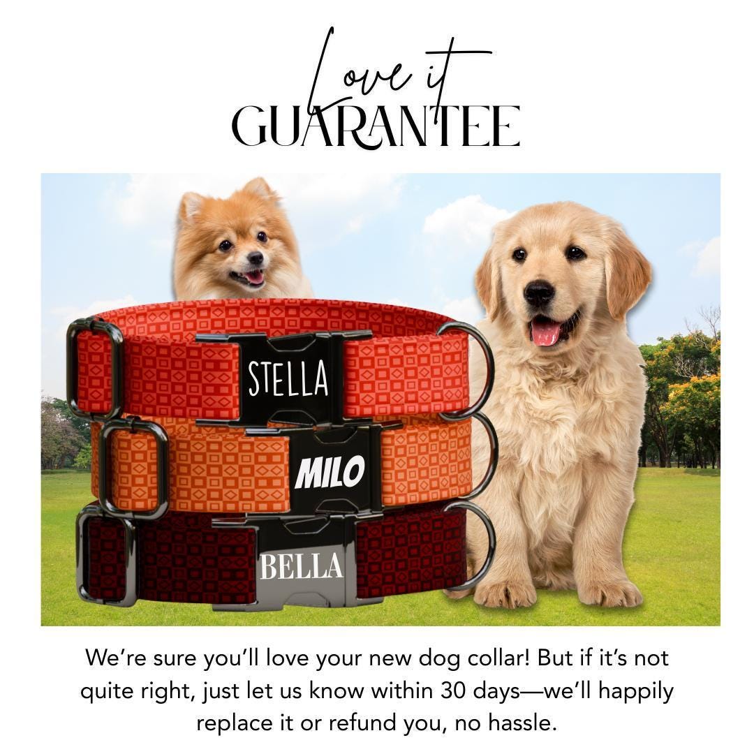 Personalized Modern Geometric Dog Collar with Name Engraved, Cute and Soft Adjustable Collar & Leash Set, Black Gold Buckle Dog Gift (OG-12)