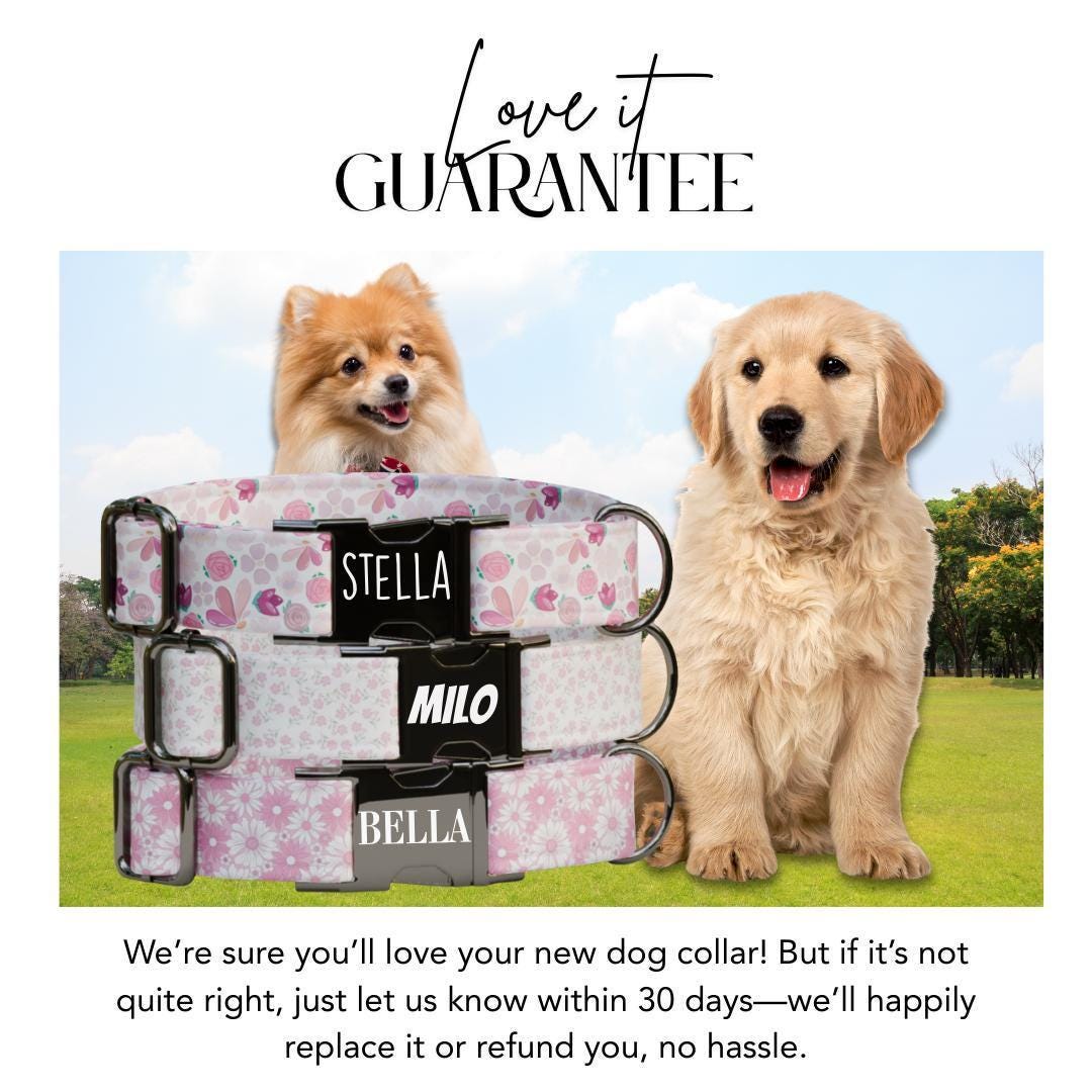 Personalized Floral Dog Collar with Name Engraved, Cute and Soft Adjustable Collar & Leash Set, Black or Gold Buckle, Dog Gift (OG-03)