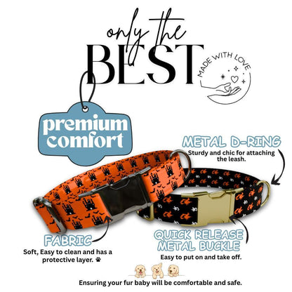 Personalized Spook-tacular Halloween Dog Collar with Name Engraved Cute and Soft Adjustable Collar & Leash Set, Pet ID Tag Dog Gift (OG-137)