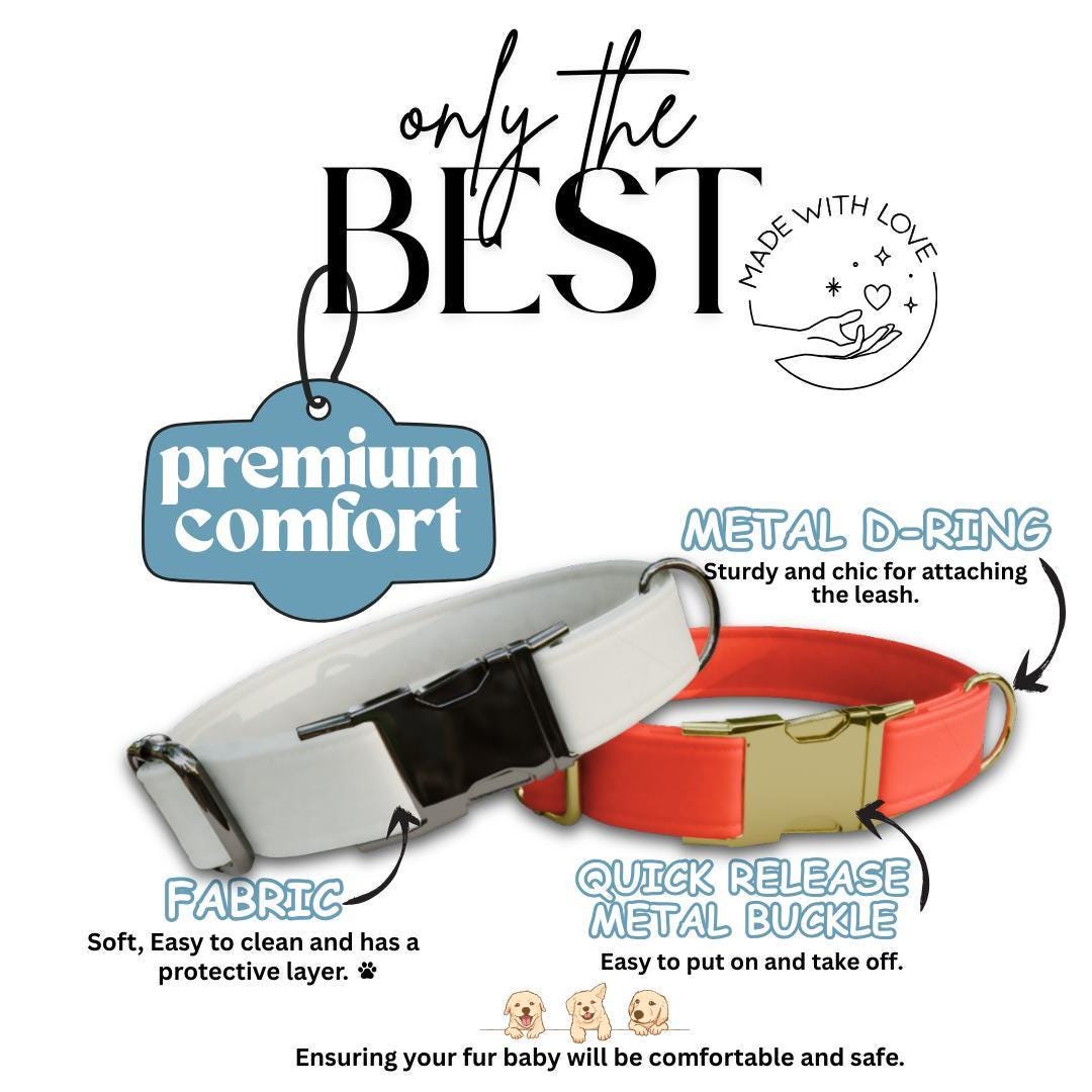 Personalized Retro Vintage Dog Collar with Name Engraved Cute and Soft Adjustable Collar & Leash Set Black or Gold Buckle Dog Gift (OG-106)