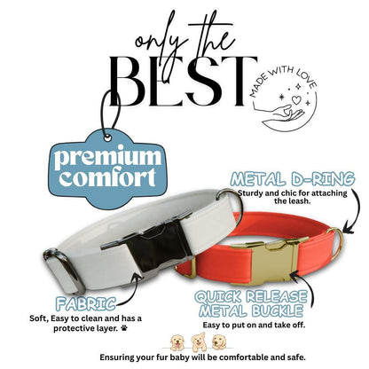 Personalized Retro Vintage Dog Collar with Name Engraved Cute and Soft Adjustable Collar & Leash Set Black or Gold Buckle Dog Gift (OG-106)