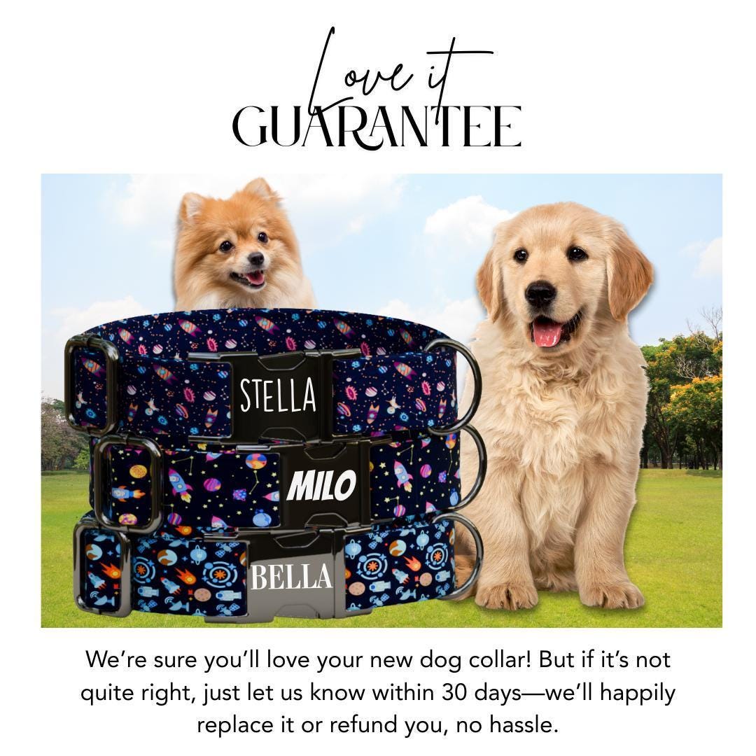 Personalized Space Adventure Dog Collar with Name Engraved Cute & Soft Adjustable Collar Leash Set Unique Astronaut Pet Dog Tag Gift (OG-73)
