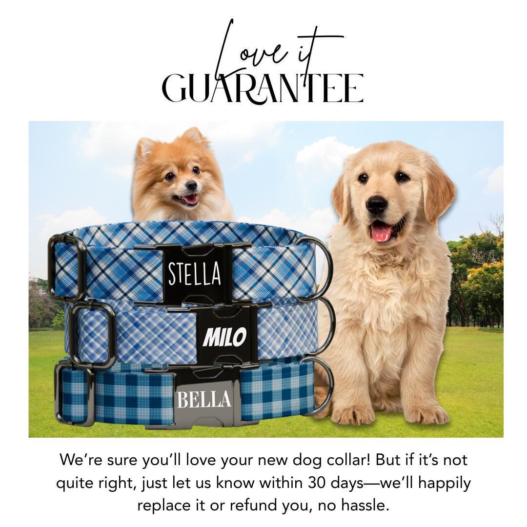 Personalized Blue Plaid Dog Collar with Name Engraved, Cute and Soft Adjustable Collar & Leash Set, Black or Gold Buckle, Dog Gift (OG-04)
