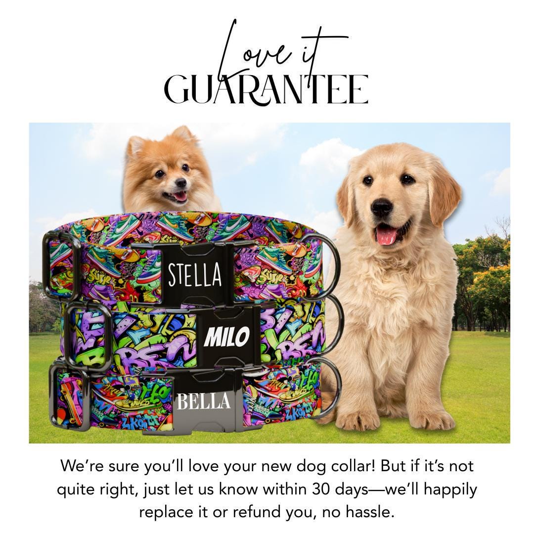 Personalized Grafitti Dog Collar with Name Engraved Cute and Soft Adjustable Collar & Leash Set Black or Gold Buckle Dog Gift (OG-103)