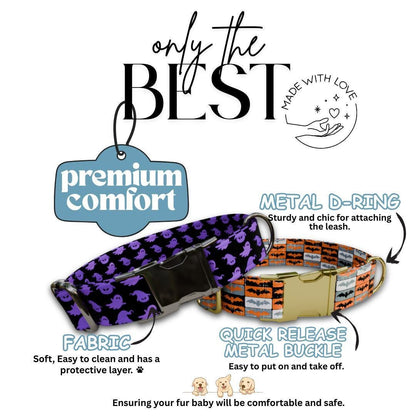 Personalized Halloween Dog Collar with Name Engraved Cute and Soft Fall Adjustable Collar & Leash Set Black or Gold Buckle Dog Gift (OG-130)