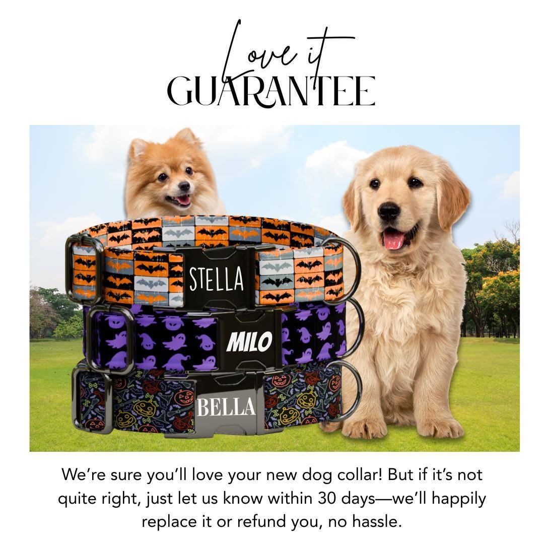 Personalized Halloween Dog Collar with Name Engraved Cute and Soft Fall Adjustable Collar & Leash Set Black or Gold Buckle Dog Gift (OG-130)