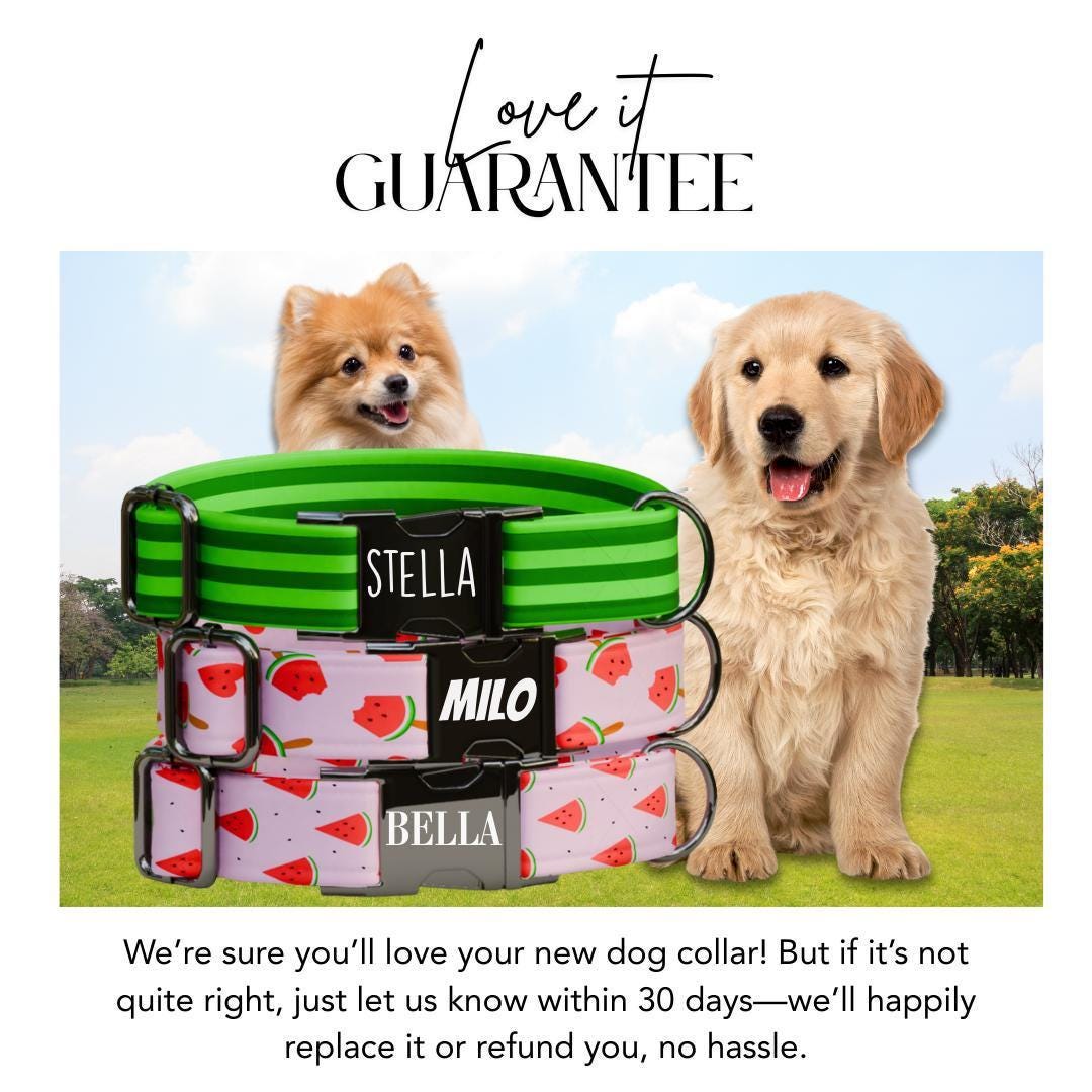 Personalized Watermelon Dog Collar with Name Engraved Cute & Soft Adjustable Collar Leash Set Unique Watermelon Print Dog Tag Gift (OG-85)