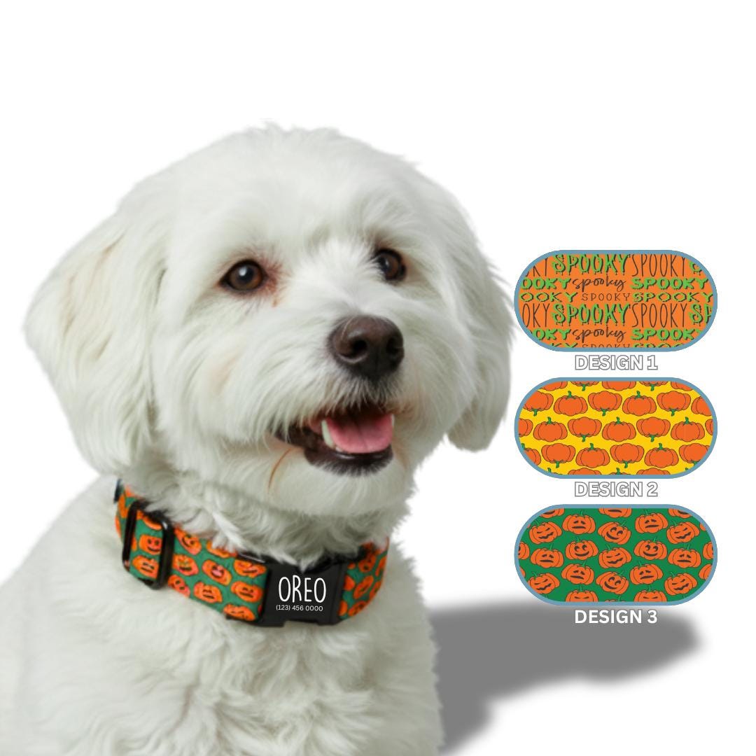 Personalized Halloween Dog Collar with Name Engraved Cute and Soft Fall Adjustable Collar & Leash Set Black or Gold Buckle Dog Gift (OG-144)